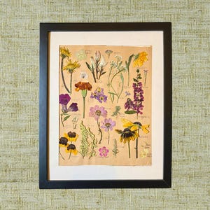 Herbarium Art | Framed Botanical Art | Pressed Flowers | Floral Wall Decor | Botanical Decor