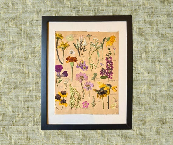 Herbarium Art | Framed Botanical Art | Pressed Flowers | Floral Wall Decor | Botanical Decor