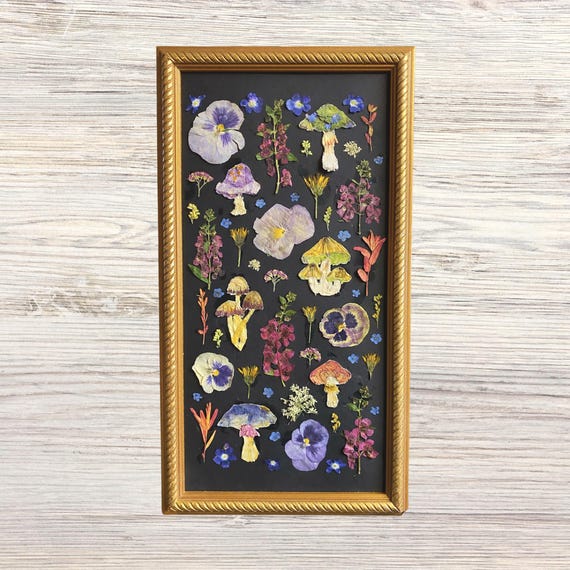 Pressed Flowers and Mushroom Wall Art | Framed Wall Decor | Mushroom Decor | Botanical Art