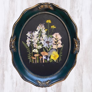 Framed Pressed Flower Wall Hanging | Spring Decor | Real Flowers | Wall Art | Handmade