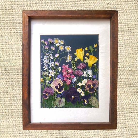 Herbarium Art | Framed Botanical Art | Pressed Flower Artwork | Botanical Decor | Botanical Wall Art