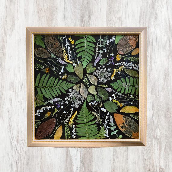 Herbarium Art | Framed Botanical Art | Pressed Flowers | Floral Wall Decor | Botanical Decor