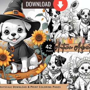 Puede incluir: Un libro para colorear en blanco y negro con 42 páginas de ilustraciones con temática otoñal. La portada presenta un lindo perro con un sombrero de bruja y rodeado de girasoles. El título del libro es "Autumn Adventures".