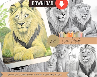 Digital Art Lion Pride Animal Portrait Adult Coloring Book Instant Download Grayscale Printable, Big Cat Digital print Relaxing/Therapeutic