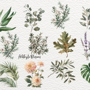 Pu&ograve; includere: Una collezione di dieci illustrazioni ad acquerello di varie piante e fiori, tra cui eucalipto, rosmarino, lavanda, foglie di quercia, foglie di palma e una dalia.