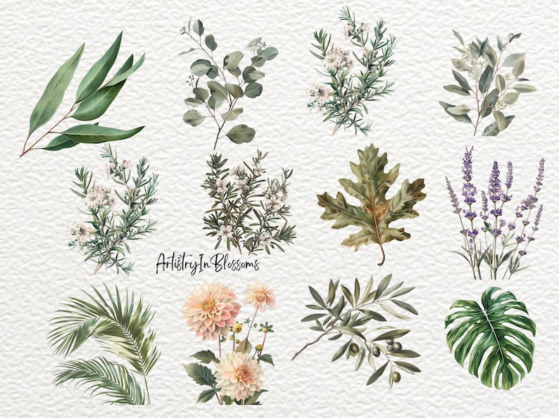 Pu&ograve; includere: Una collezione di dieci illustrazioni ad acquerello di varie piante e fiori, tra cui eucalipto, rosmarino, lavanda, foglie di quercia, foglie di palma e una dalia.