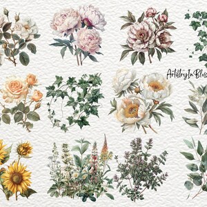 Pu&ograve; includere: Una collezione di illustrazioni ad acquerello con vari fiori e piante verdi, tra cui rose, peonie, girasoli, edera ed eucalipto. Le illustrazioni sono in stile vintage e hanno un'atmosfera morbida e romantica. Il testo "Artistry In Blossoms" &egrave; visibile nell'angolo in alto a destra dell'immagine.