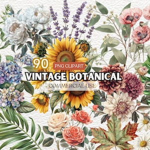 Vintage Botanical Clipart Bundle, Antique Botanical Clipart Set, Retro Botanical Clip Art Collection, Retro Vehicles, Botanical Illustration