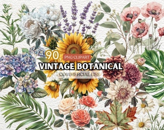Vintage Botanical Clipart Bundle, Antique Botanical Clipart Set, Retro Botanical Clip Art Collection, Retro Vehicles, Botanical Illustration