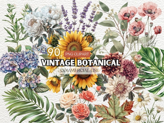 Vintage Botanical Clipart Bundle, Antique Botanical Clipart Set, Retro Botanical Clip Art Collection, Retro Vehicles, Botanical Illustration