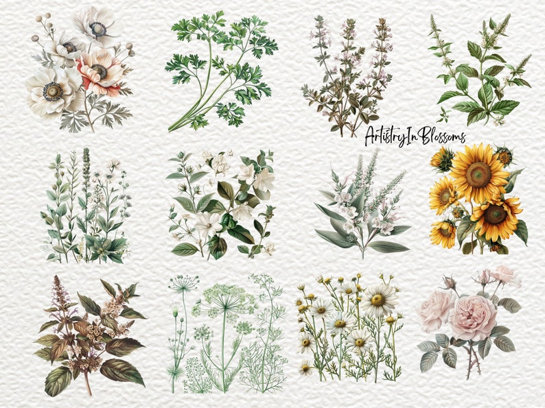 Pu&ograve; includere: Una collezione di 10 illustrazioni botaniche con diversi fiori ed erbe. Le illustrazioni sono in stile vintage con dettagli delicati e colori tenui. I fiori includono anemoni bianchi, gelsomino bianco, margherite bianche e rose rosa. Le erbe includono prezzemolo verde, timo verde, menta verde e aneto verde.