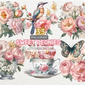 Watercolor Peonies Clipart | Flower Png | Flowers Clipart | Blush Floral  | Peony Png | Botanical Clipart | Wedding Clipart | Peony Clipart