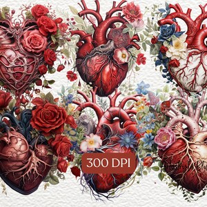 Puede incluir: Cuatro ilustraciones anat&oacute;micas de corazones con detalles intrincados, rodeadas de flores rojas, rosas y azules. Los corazones est&aacute;n representados en un estilo realista con venas y c&aacute;maras visibles. Las flores est&aacute;n representadas en un estilo acuarela, a&ntilde;adiendo un toque de fantas&iacute;a a la imagen anat&oacute;mica.