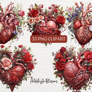Puede incluir: Cuatro ilustraciones digitales de corazones anat&oacute;micos rodeados de rosas rojas, rosas y blancas. Los corazones est&aacute;n detallados con venas y arterias. El texto "35 PNG CLIPART" y "Artistry In Blossoms" es visible en la imagen.