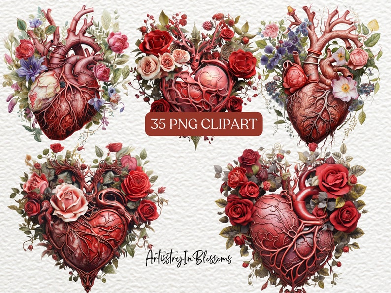 Puede incluir: Cuatro ilustraciones digitales de corazones anat&oacute;micos rodeados de rosas rojas, rosas y blancas. Los corazones est&aacute;n detallados con venas y arterias. El texto "35 PNG CLIPART" y "Artistry In Blossoms" es visible en la imagen.