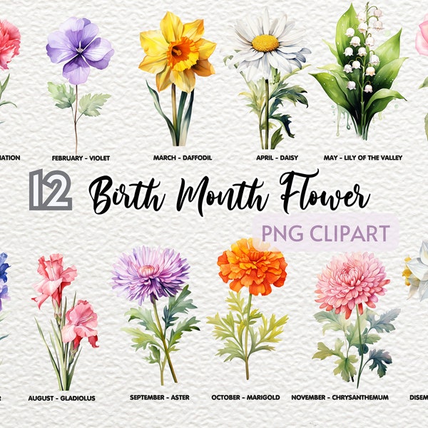 Watercolor Birth Month Flower Clipart, Birth Month Flower Art Illustrations, Birthday Celebration, Floral Illustration,Birthday Decor, DIY