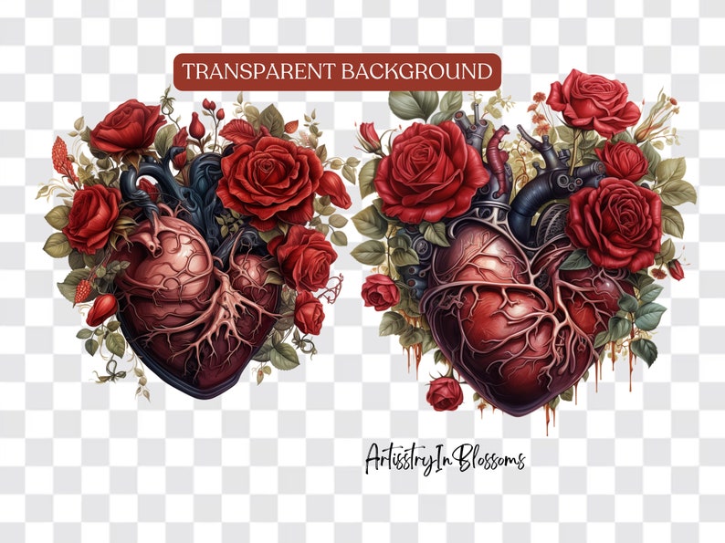 Puede incluir: Dos corazones anat&oacute;micos con intrincadas venas y arterias est&aacute;n rodeados de exuberantes rosas rojas y hojas verdes. Los corazones son de color rojo oscuro y tienen un aspecto realista. Las rosas est&aacute;n en plena floraci&oacute;n y tienen un color rojo vibrante. Las hojas son de un verde intenso y tienen una textura delicada. La imagen tiene un fondo transparente.