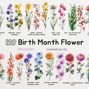 Watercolor Birth Month Flower Clipart, Birth Month Flower Art Illustrations, Birthday Celebration, Floral Illustration,Birthday Decor, DIY