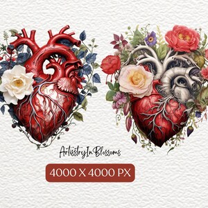 Puede incluir: Dos corazones anat&oacute;micos rodeados de flores rojas, blancas y rosas. Los corazones est&aacute;n detallados con venas y arterias. Las flores est&aacute;n dispuestas en un patr&oacute;n circular alrededor de los corazones. El fondo es una superficie blanca texturizada. El texto "Artistry In Blossoms" y "4000 X 4000 PX" est&aacute; en la parte inferior de la imagen.