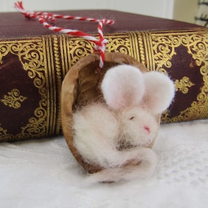 May include: A handmade felted mouse nestled in a walnut shell, suspended by a red and white string. The mouse is white with pink accents, and the shell is brown. The background includes a vintage book with gold detailing.