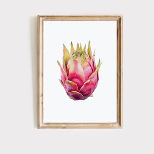 Dragon Fruit Print, Dragon Fruit Wall Art Prints, Printable Kitchen Decor, Tropical Print, Printable Wall Art, Posters #130