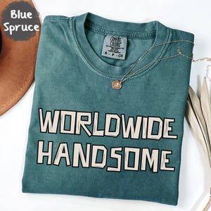 Comfort Colors Worldwide Handsome Shirt, Jin Concert T-Shirt 2025, Worldwide Handsome Tour Tee, BTS Jin Tour Shirt, RunSeokJin Kpop Merch