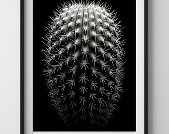 Fotografia di cactus in bianco e nero. Arte digitale. SCARICABILE. Immagine STAMPABILE