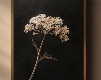 May include: A framed botanical print featuring a dried flower against a black background. The flower is a light beige color with delicate petals and a slender stem. The frame is a dark brown wood.