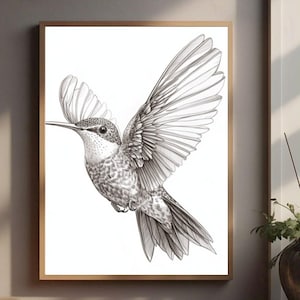 Hummingbird Sketch Printable Bird Wall Art Hummingbird Art Vintage Bird Print Spring Home Decor Hummingbird Gifts Digital Download