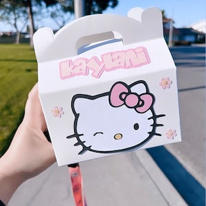 Kawaii Winking Kitty Party Gift Boxes!