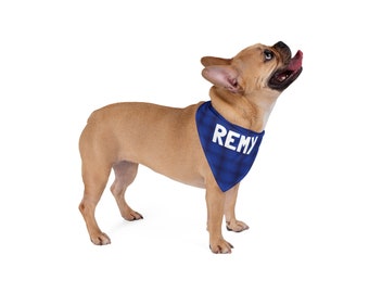 Blue Custom Name (Remy) Dog Bandana