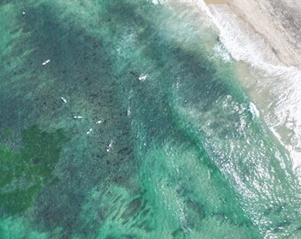 Bird's Eye Surf