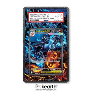 Mega Charizard image 1