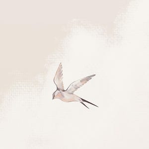 Beige Bird Wallpaper, Swallow Decor for Bedroom, Neutral Cloud Design, Relaxing Interior Accent image 3