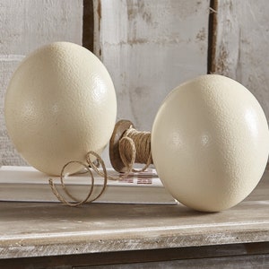 customizable ostrich egg