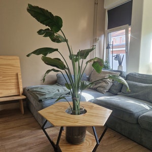 Plant table/coffee table