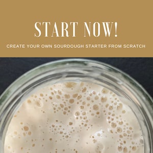 Ultimate Guide to Creating and Maintaining Sourdough Starters: Everything You Need to Know About Homemade Sourdough.