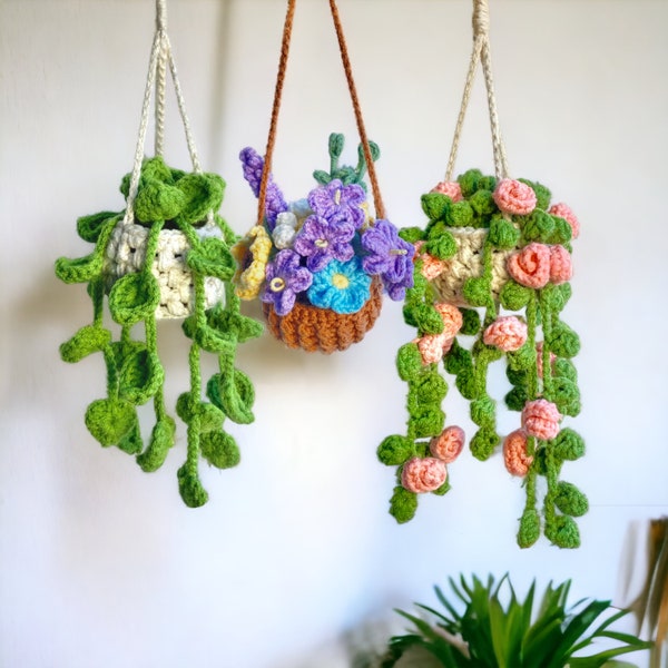 Hanging Plant Car Pattern Etsy