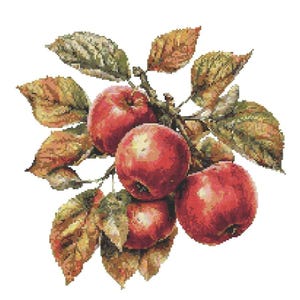 May include: A cross-stitch design featuring a cluster of ripe red apples on a branch with green and brown leaves. The apples have a slight gradient of color, and the leaves show detailed shading. The artwork is set against a white background.