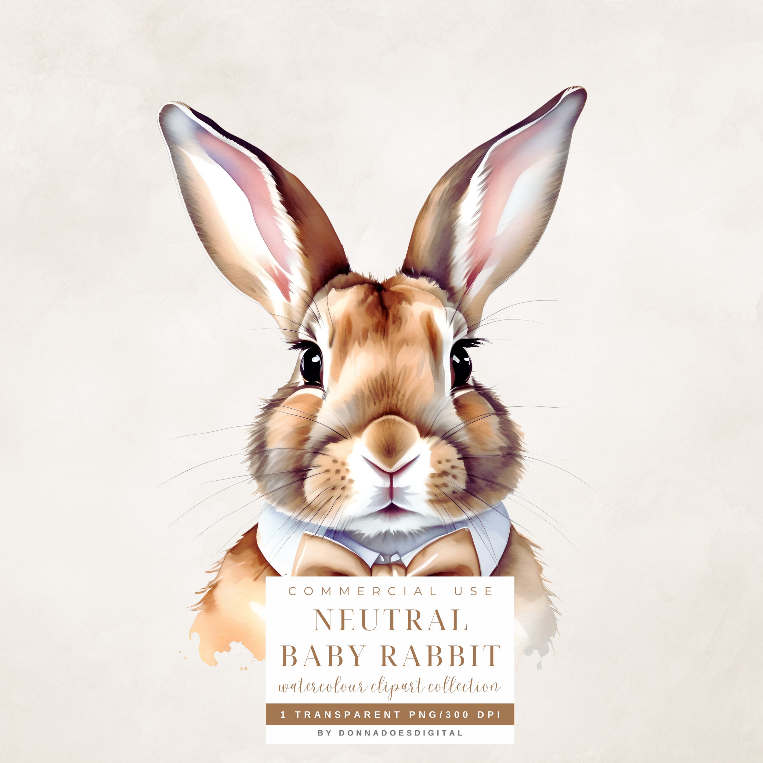 Baby Shower Graphics Rabbit Cute Bunny Clipart for Baby Showers, Nursery Decor, and Printable Baby ...
