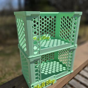 Hermit Crab Climable Shell Shop with sign