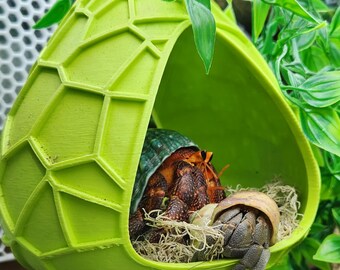 Hermit Crab Hanging Chair or Bed - Foraging/Swing
