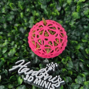 May include: A bright pink, spherical decorative object with a lattice design, filled with a green material. The image also features a logo that reads "Hardini's 3D MINIS" in white and gray, set against a backdrop of green foliage.