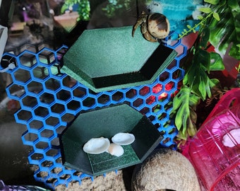 3D Printed Honeycomb wall enrichment climber for hermit crabs.