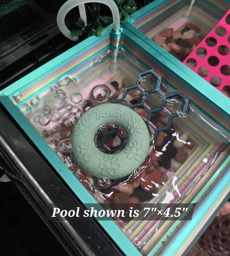 May include: A rectangular teal pool measuring 7 inches by 4.5 inches, filled with water and smooth pebbles. A light green donut-shaped float with embossed flower patterns and a dark blue honeycomb-shaped accessory float on the water surface.