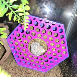 Hanging Foraging Pit for Hermit Crabs!