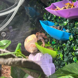 May include: A hermit crab in a beige and brown shell, with visible legs and claws, is positioned near a green leaf. The habitat includes a purple castle, blue and purple food dishes, and artificial greenery.