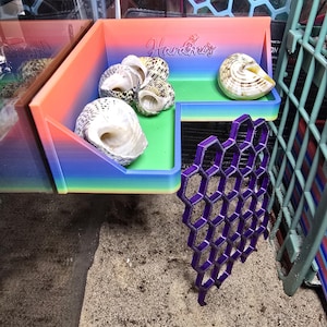 May include: A multi-colored, gradient-style corner shelf featuring the text "Hardin's" embossed on the back panel. The shelf contains four speckled, spiral-shaped seashells and is attached to a purple, honeycomb-patterned climbing structure.