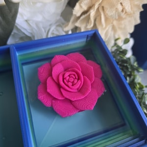 May include: A vibrant hot pink 3D printed rose with visible layered texture, centered inside a square blue and green gradient frame. The flower features tightly packed petals arranged in a circular pattern, resting on a flat, light blue base.