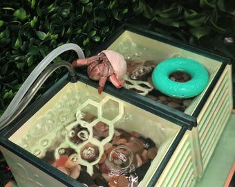 3D Printed Hermit Crab Pools - W/Bubblers & Ladders Built In